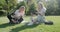 Girls teenage students sitting on green lawn in park with backpack, books, digital tablet