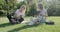 Girls teenage students sitting on green lawn in park with backpack, books, digital tablet