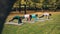 Girls in trendy sportswear are exercising in park moving from one position into another on yoga mats. Green and yellow