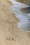 Girls walking on vast sandy beach