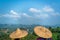 Girls wearing traditional chinese  Asian conical hats  on a tea plantation