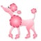 Girly Pink Poodle Walking