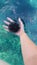 In the girlâ€™s hand is a large black sea urchin, in the beautiful water of the Adriatic