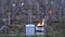 Gironde, Pomerol, Oil Burning Smudge Pots In Vineyard During Sub-zero Temperatures Of Mars 2021, Bordeaux Vineyard