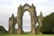 Gisborough Priory, North Yorkshire - UK