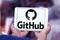 GitHub website logo