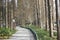 Gity Green Road along the Beijing-Hangzhou Grand Canal in a sunny afternoon