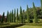 Giusti gardens, Verona, Italy - tall cypress trees