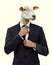 Give it everything youve goat. Studio shot of a businessman with a zebra head against a yellow background.