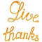 Give thanks lettering tinsels