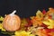 GIVE THANKS, Pumpkin season, Thanksgiving, Halloween