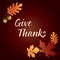Give thanks thanksgiving graphic with acorns and leaves on brown gradient background