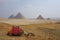 Giza, Egypt: Camel Resting Near the Khufu Pyramid Complex