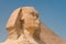 Giza\'s great sphinx,