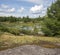 Glacial Bedrock around wetlands at Torrance barrens Muskoka