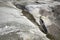 Glacial grooves in granite bedrock, legacy of the ice age.