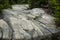 Glacial grooves and striations at the summit of Mt. Kearsarge