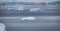 Glacial icebergs in the antarctic.