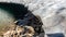 Glacial lake of melting ice of glacier and rocks in Summer. Partially frozen. Landscape scene in Aosta Valley in Italy. Climate