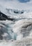 Glacial Melt Stream with Columbia Icefield in the Background