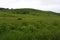 Glacial Park Kame  807552