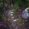 Glacial Rocks on the Walking Trail in Autumn Woods