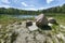 Glacial stones on the forest lake