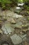 Glacial striations in granite bedrock on Mt. Kearsarge, New Hampshire