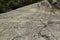 Glacial striations in granite bedrock, Mt. Kearsarge, New Hampshire.