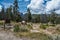 Glacier Basin Campground