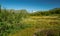 Glacier covered mountain on the far horizon in the green Arctic landscape of Sarek National Park, Sweden. Beautiful day