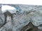 Glacier detail in Iceland