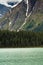 Glacier detail with pines and clear water