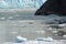 A glacier entering the sea in the Tracy Arm Fjord