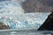 A glacier entering the sea in the Tracy Arm Fjord