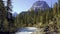 Glacier-fed waters from Takakkaw Falls flow into Yoho River with Wapta Mountain in the background. Yoho National Park, Canadian Ro