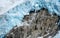 Glacier landscape mountain iceberg
