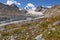 Glacier mountains chamomile flowers river