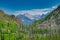 Glacier National Park Lodgepole Pines and Mountains