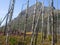 Glacier National Park Peak towers over burned forest