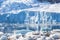 Glacier reflected in the Antarctic waters of Neco bay and a few