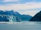 Glacier Tracy Arm Fjord Alaska