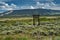 Glacier View Turnout in Grand Teton National Park in Wyoming