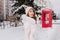 Glad caucasian woman in knitted hat goes to red phone booth in winter day. Outdoor portrait of attractive european girl