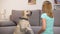 Glad pet owner teaching dog commands, giving praise and kibble of food, cynology