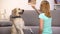 Glad pet owner teaching dog commands, holding praise or kibble of food cynology