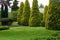 Glade landscape with green grass and trimmed trees.