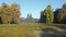 Glade surrounded by different old trees at autumn frosty morning