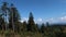 Glade surrounded by pine and spruce trees on top of Javorniky mountains, borderline between Slovakia and Czech Republic