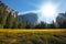 The glade in Yosemite park on a Sunrise